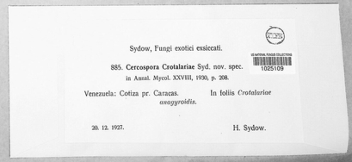 Mycosphaerella crotalariae image
